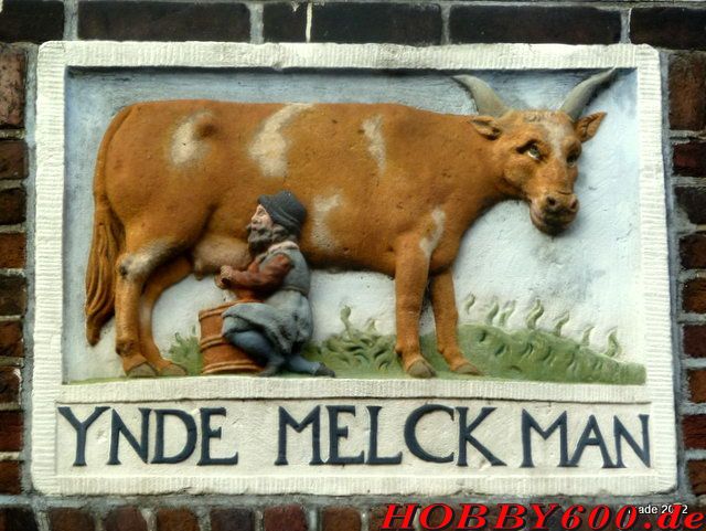 Bild 46 Bild 46