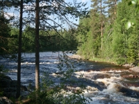 Für größeres Bild bitte klicken! img_5139.jpg